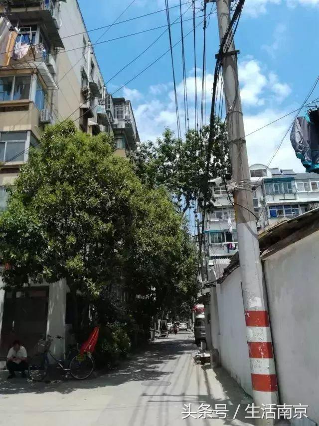 春天南京有哪些美景的地方,南京春天最值得去的地方