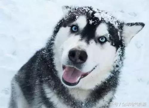 电力设计院出来一般做什么工作呢,在电力设计院工作是什么体验