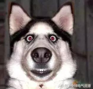 电力设计院出来一般做什么工作呢,在电力设计院工作是什么体验