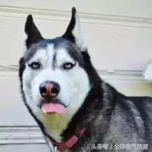 电力设计院出来一般做什么工作呢,在电力设计院工作是什么体验