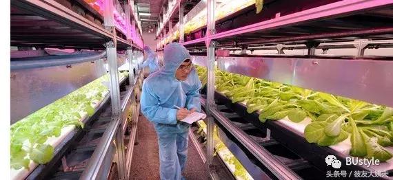 盛世投资的创始人,盛世投资创始人