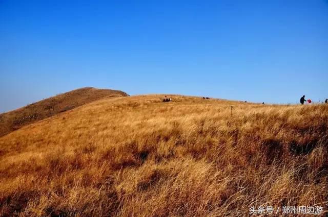 河南漯河自驾游必去十个景点,河南省内一日游景点自驾游