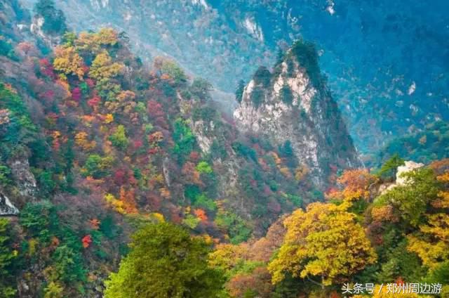 河南漯河自驾游必去十个景点,河南省内一日游景点自驾游