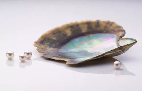 akoya珍珠100%纯天然正品,akoya珍珠100%纯天然