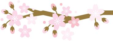 akoya珍珠100%纯天然正品,akoya珍珠100%纯天然