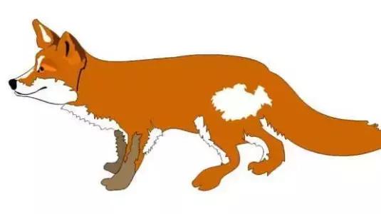 美丽会东经典歌曲,美丽会东完整版