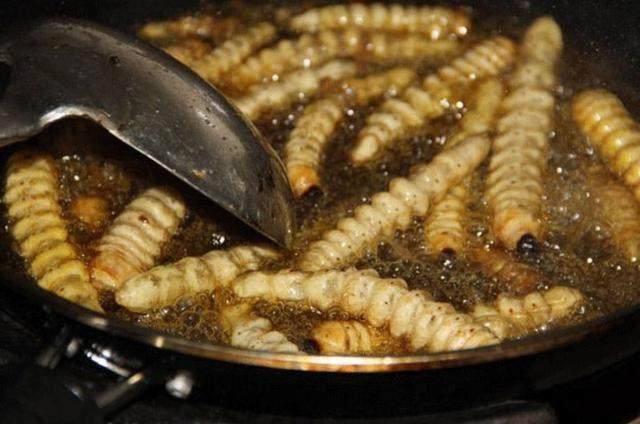 农村常吃的十种虫子,中国可以吃的六种虫子你敢吃吗