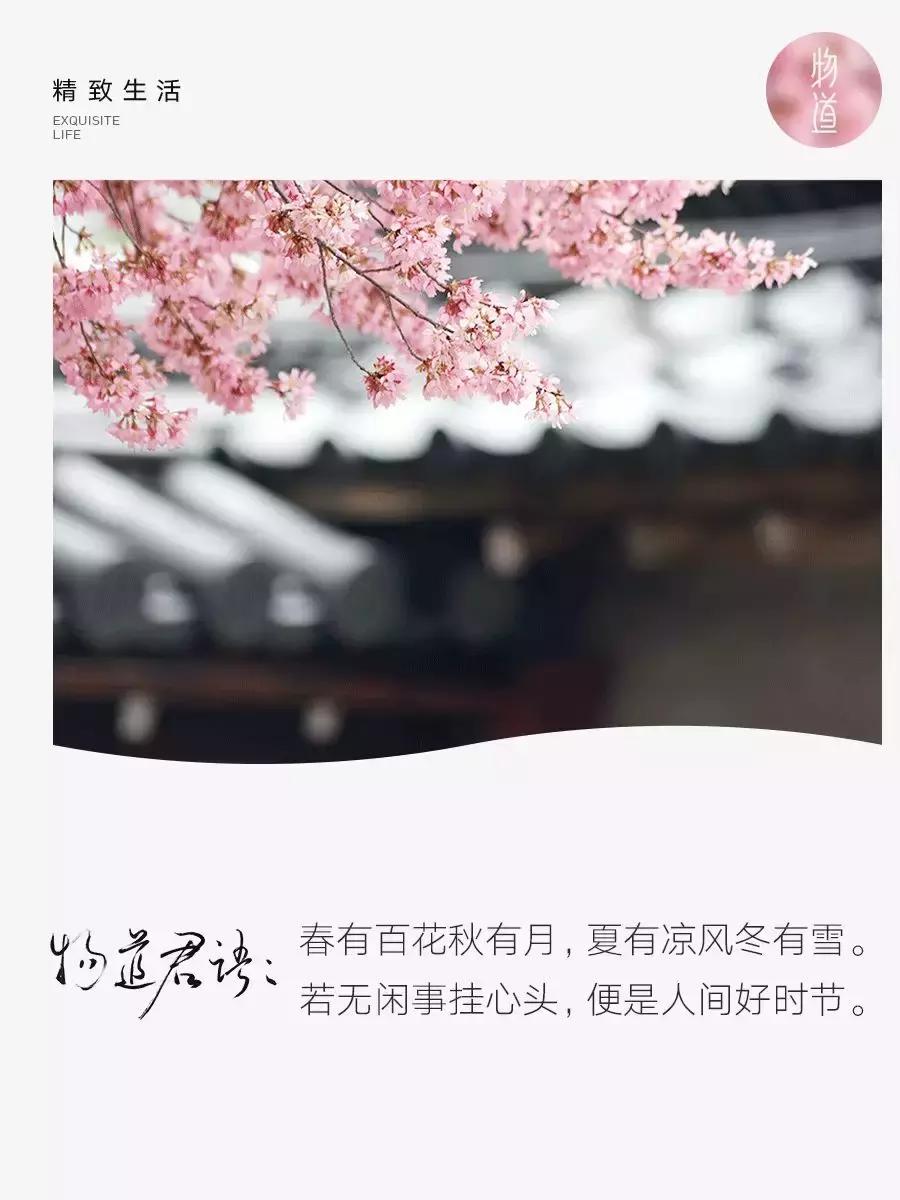 拥有季节感，是过上精致生活的第一步