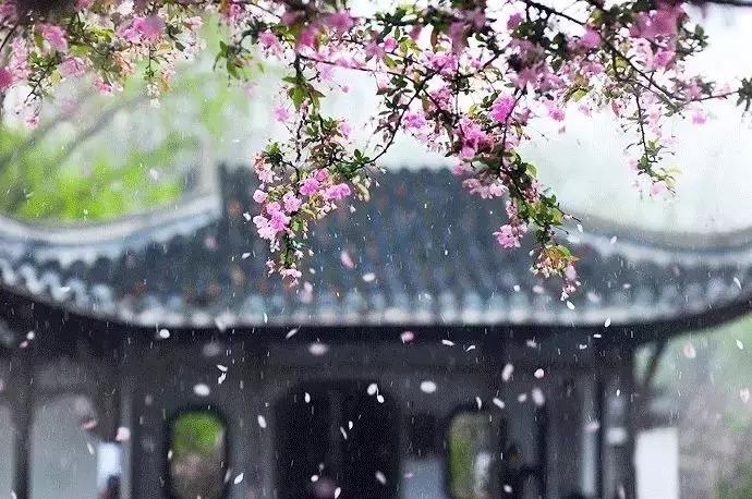 拥有季节感，是过上精致生活的第一步