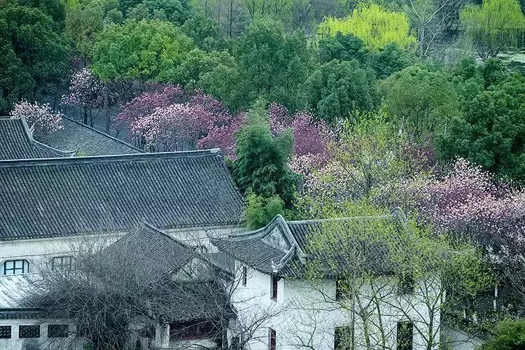 拥有季节感，是过上精致生活的第一步