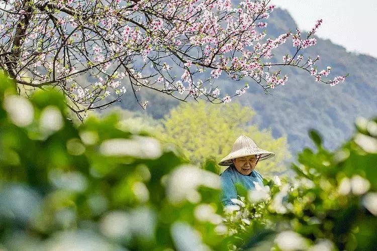 拥有季节感，是过上精致生活的第一步