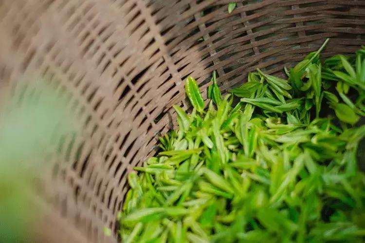 拥有季节感，是过上精致生活的第一步