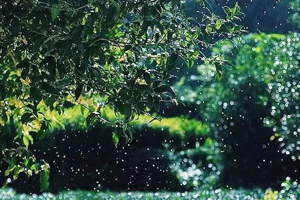 拥有季节感，是过上精致生活的第一步