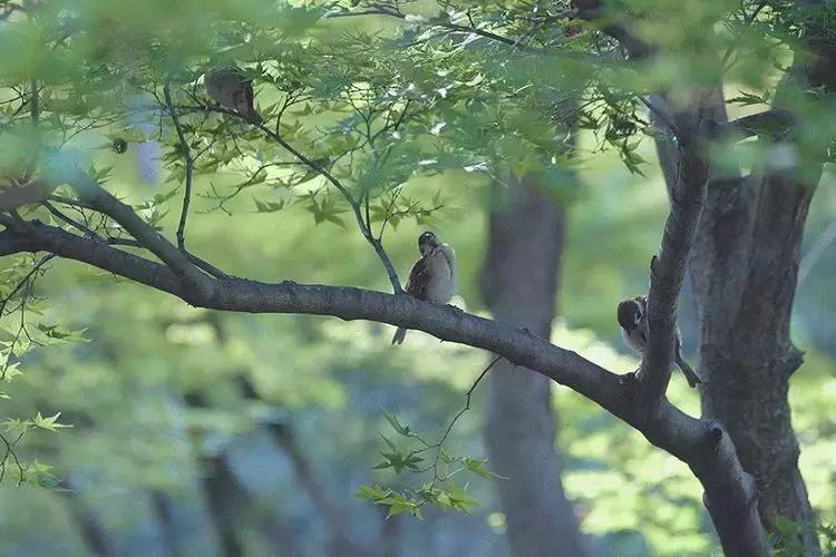 拥有季节感，是过上精致生活的第一步