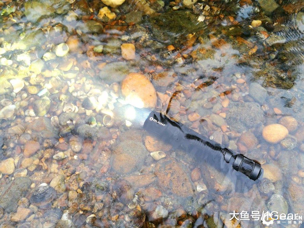 榛戝姝﹀+鎵嬬數,榛戝姝﹀+