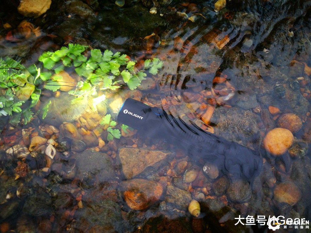 榛戝姝﹀+鎵嬬數,榛戝姝﹀+