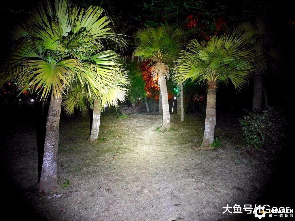 榛戝姝﹀+鎵嬬數,榛戝姝﹀+