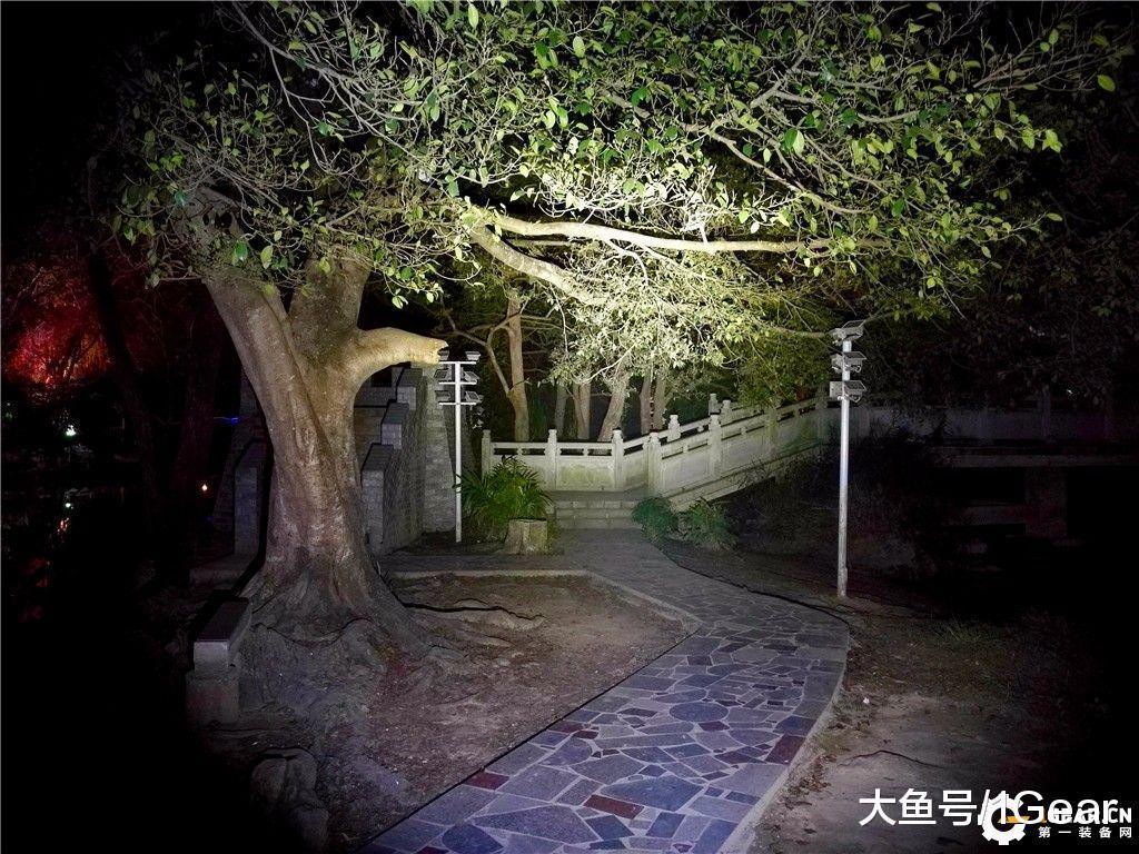 榛戝姝﹀+鎵嬬數,榛戝姝﹀+