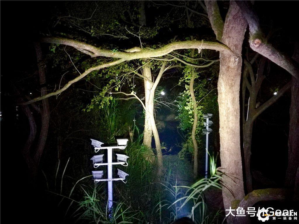 榛戝姝﹀+鎵嬬數,榛戝姝﹀+