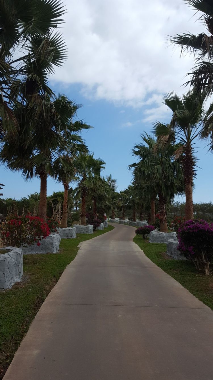 三闺蜜去三亚,跟闺蜜带孩子去三亚