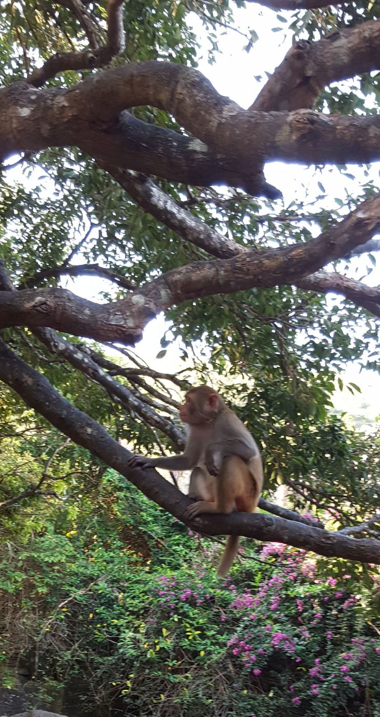 三闺蜜去三亚,跟闺蜜带孩子去三亚