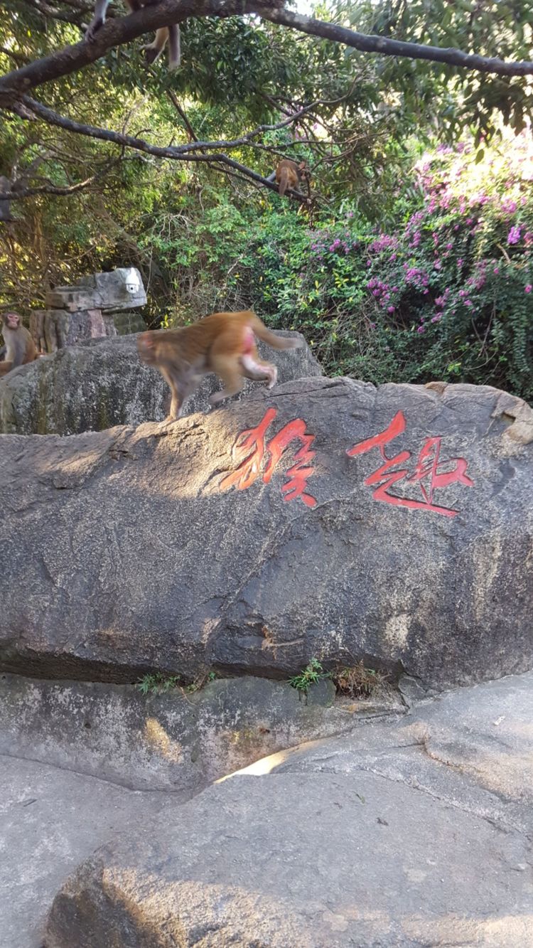 三闺蜜去三亚,跟闺蜜带孩子去三亚