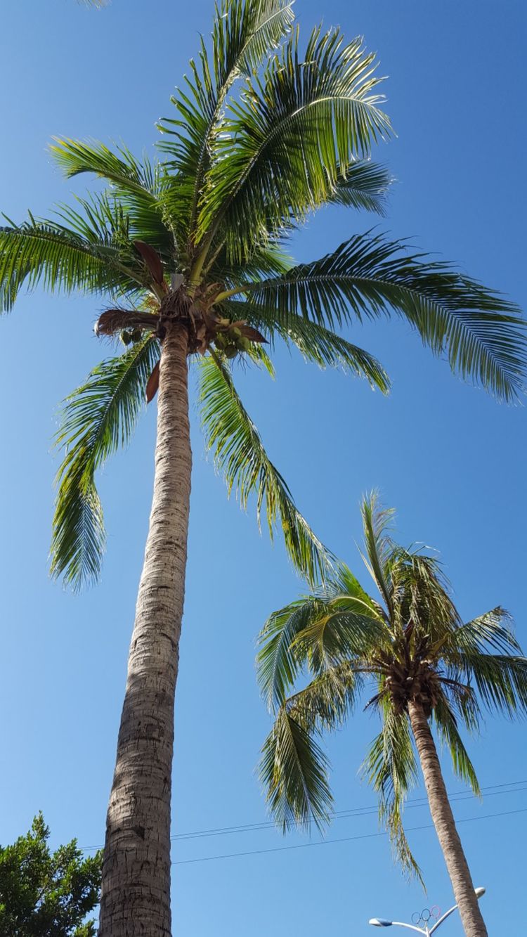 三闺蜜去三亚,跟闺蜜带孩子去三亚