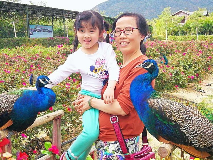 三闺蜜去三亚,跟闺蜜带孩子去三亚