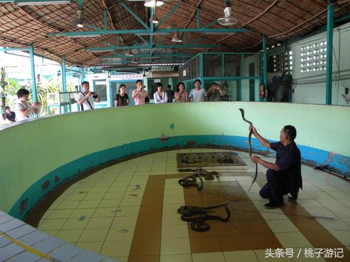 泰国旅游跟团如何避坑,泰国跟团购物被坑