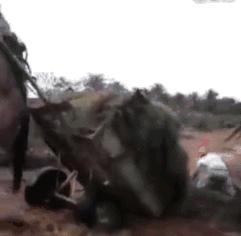 平衡车是一种什么样的运动,假如平衡车有生命