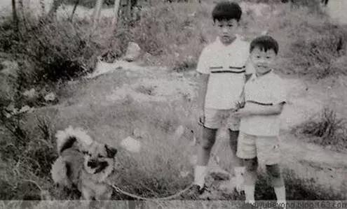 黄家驹不羁的风,放荡不羁爱自由是黄家驹的哪首歌