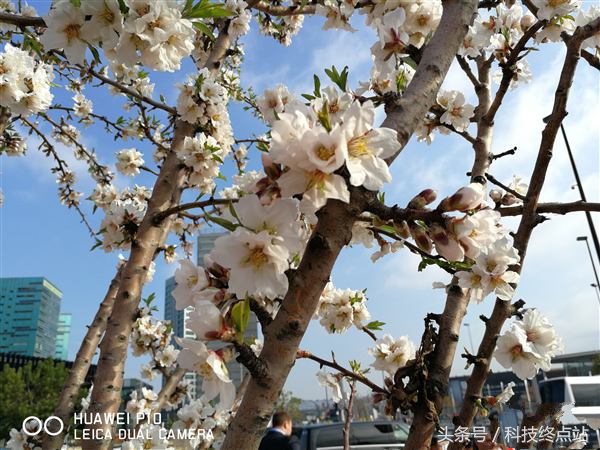 适合旅游拍照的手机,春季出游拍照相机推荐