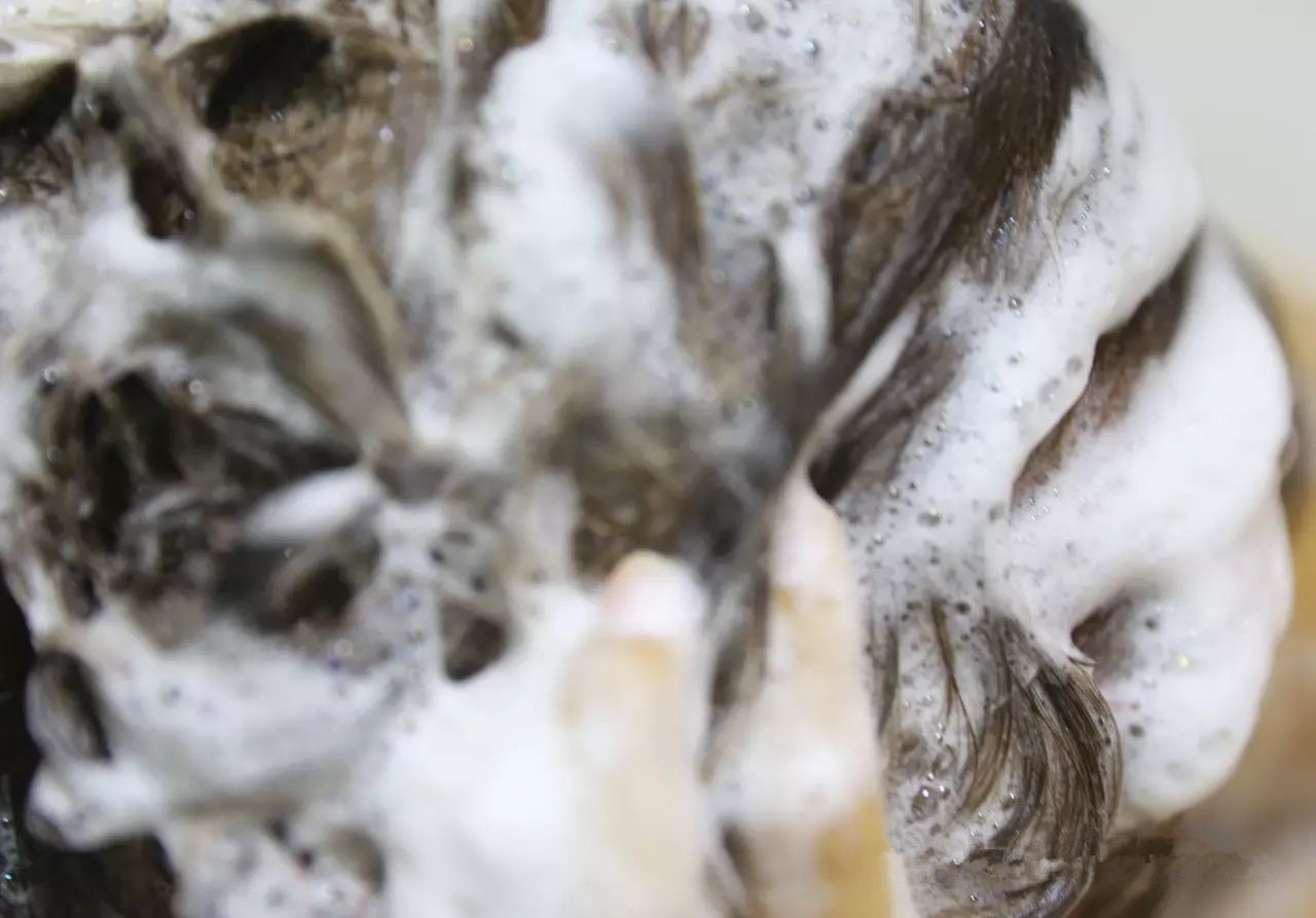 最强养发护发秘籍今天你掉发了么,用这个方法养发从来不担心会秃头