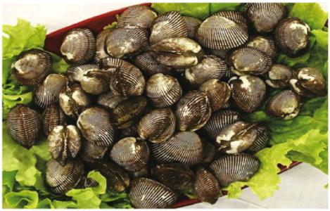 100元一斤的海鲜排行榜,10多元一斤堪称便宜又好吃的海鲜