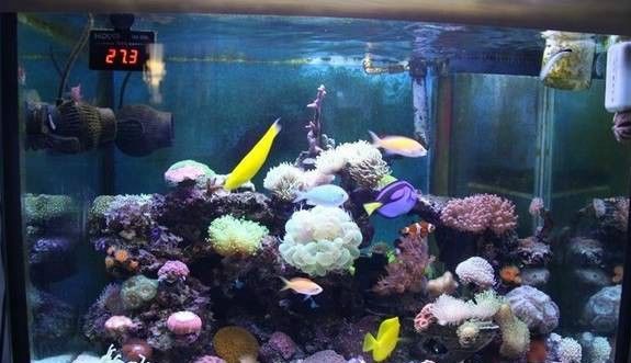 风水三忌十二生肖图解,十二生肖风水开运图表大全