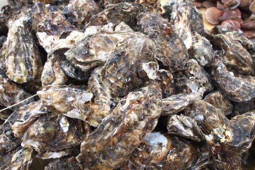 100元一斤的海鲜排行榜,10多元一斤堪称便宜又好吃的海鲜