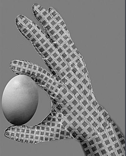 蚕丝跟蛛丝有什么区别,蚕丝与蜘蛛丝区别视频