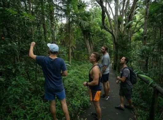 跟着澳洲大厨一起去“打野食”