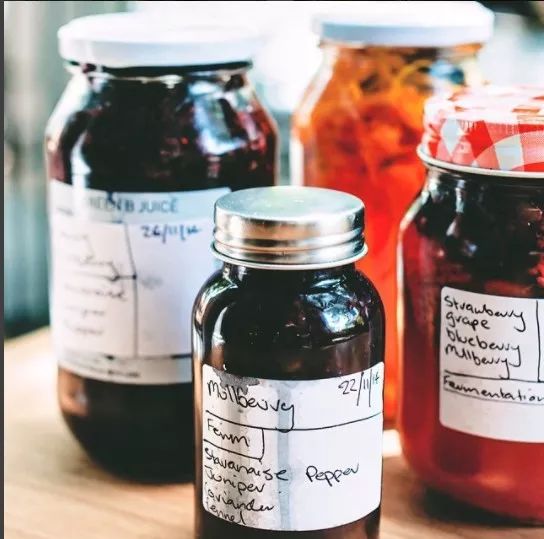 跟着澳洲大厨一起去“打野食”