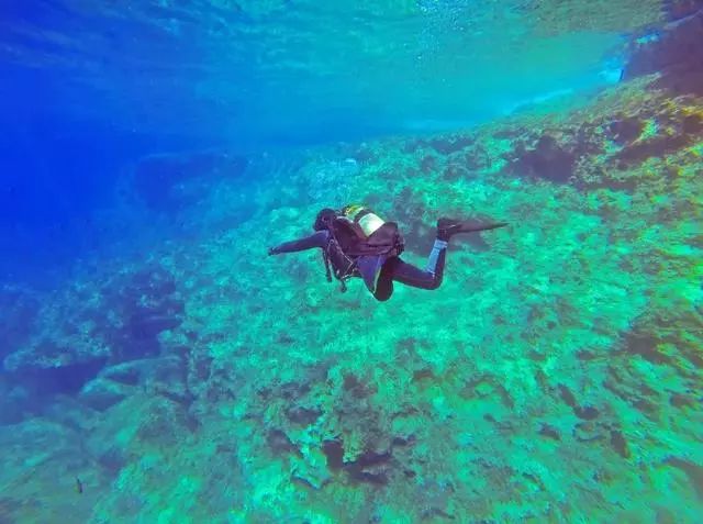 世界最美的私人森林岛屿,全世界最浪漫的岛屿