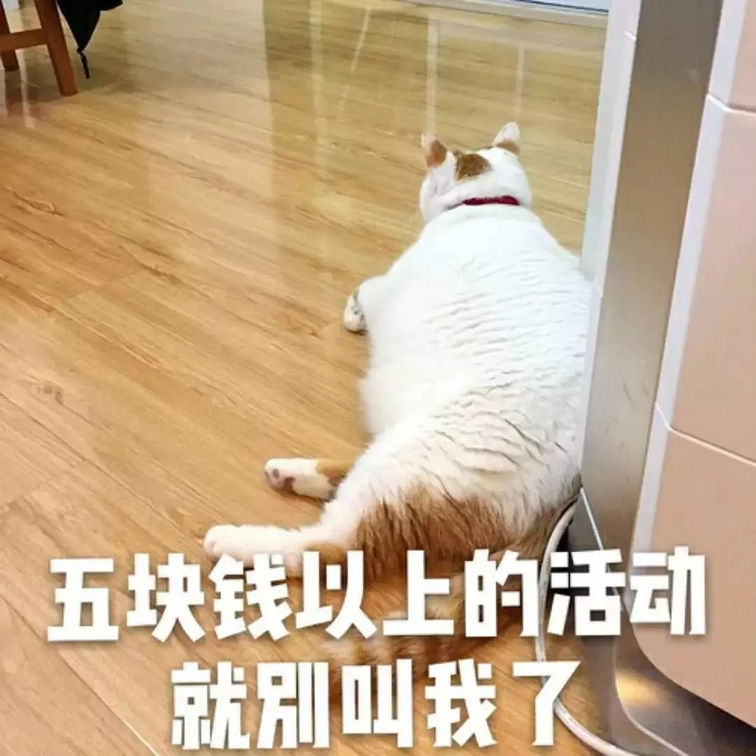 特价机票全攻略教你快速买到便宜,特价机票一般在哪看提醒