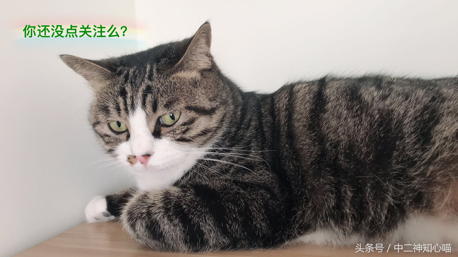 绝地求生毁了哪些游戏,绝地求生为了游戏究竟放弃了什么