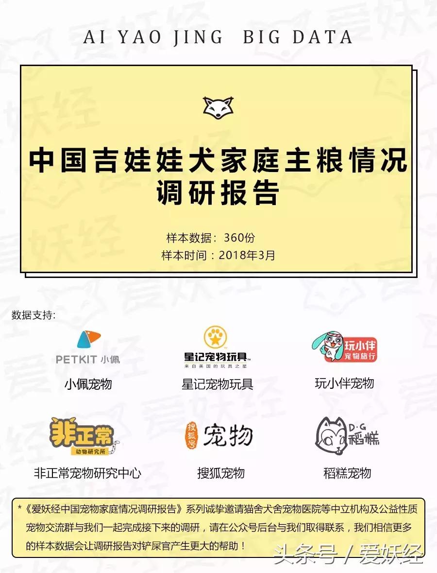 爱妖经大数据|中国吉娃娃犬家庭主粮调研报告