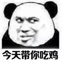 吃鸡外挂深度解析,吃鸡外挂成功案例