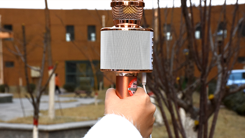 智能语音K歌神器,智能k歌神器麦克风音响一体