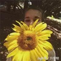 当妈以后哪个瞬间让你崩溃,当妈后为什么情绪老是会崩溃