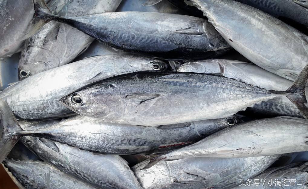 营口市的特色美食,辽宁美食篇营口市最具特色的美食