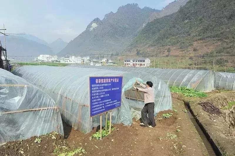 美过花海，不输果园，请收下这份来自汇川郊外的礼物……