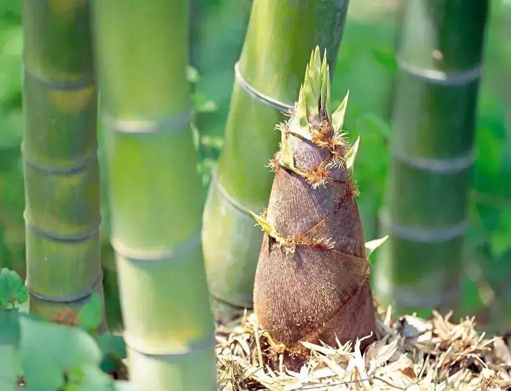 美过花海，不输果园，请收下这份来自汇川郊外的礼物……