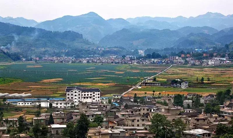 美过花海，不输果园，请收下这份来自汇川郊外的礼物……